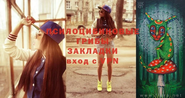 соль курить ск Няндома