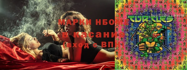 прущие грибы Алексеевка