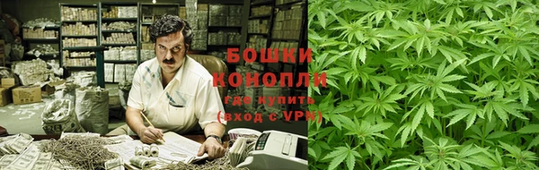 прущие грибы Алексеевка
