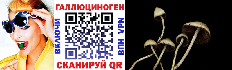 купить наркоту  Аткарск  Псилоцибиновые грибы прущие грибы 